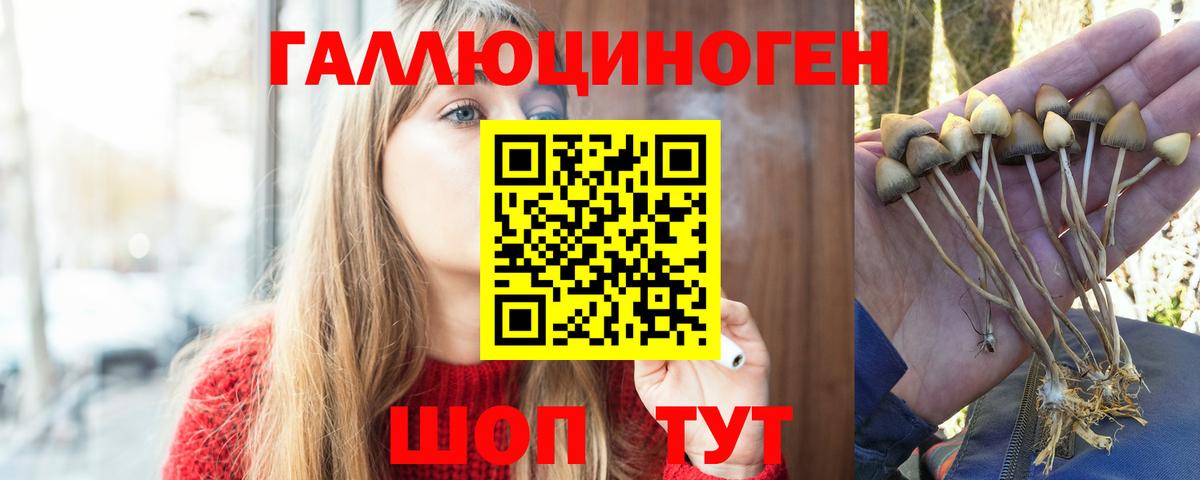 Тверь  Псилоцибиновые грибы ЛСД  Вход с VPN 